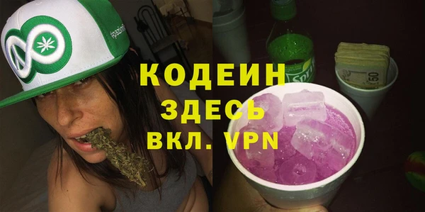хмурый Фурманов