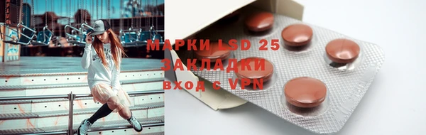 индика Волосово