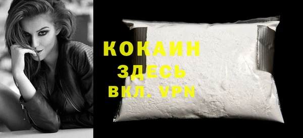 индика Волосово