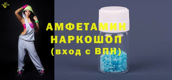 шишки Горнозаводск
