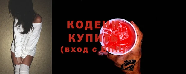 шишки Горнозаводск
