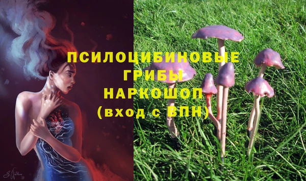 гидропоника Горно-Алтайск