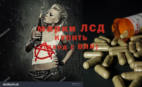 Альфа ПВП Горняк