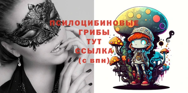 шишки Горнозаводск