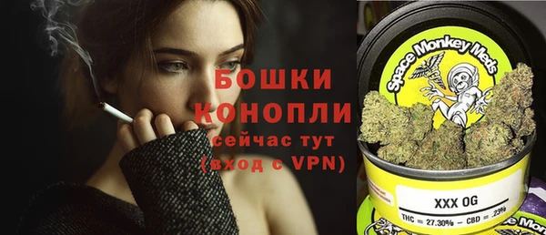шишки Горнозаводск
