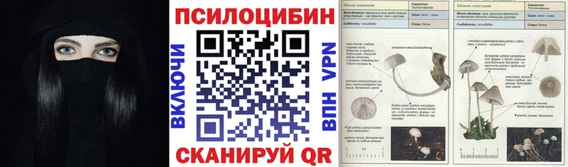 Галлюциногенные грибы ЛСД ссылка на мегу Егорьевск